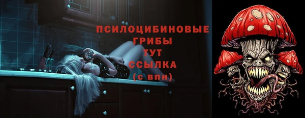 таблы Алзамай