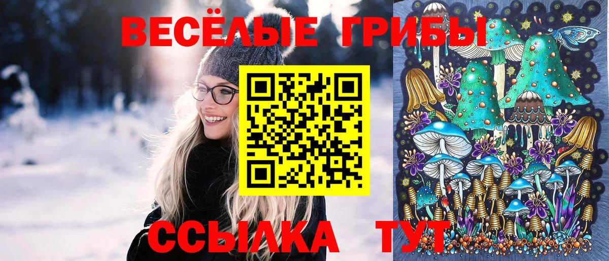 Галлюциногенные грибы прущие грибы Курчалой